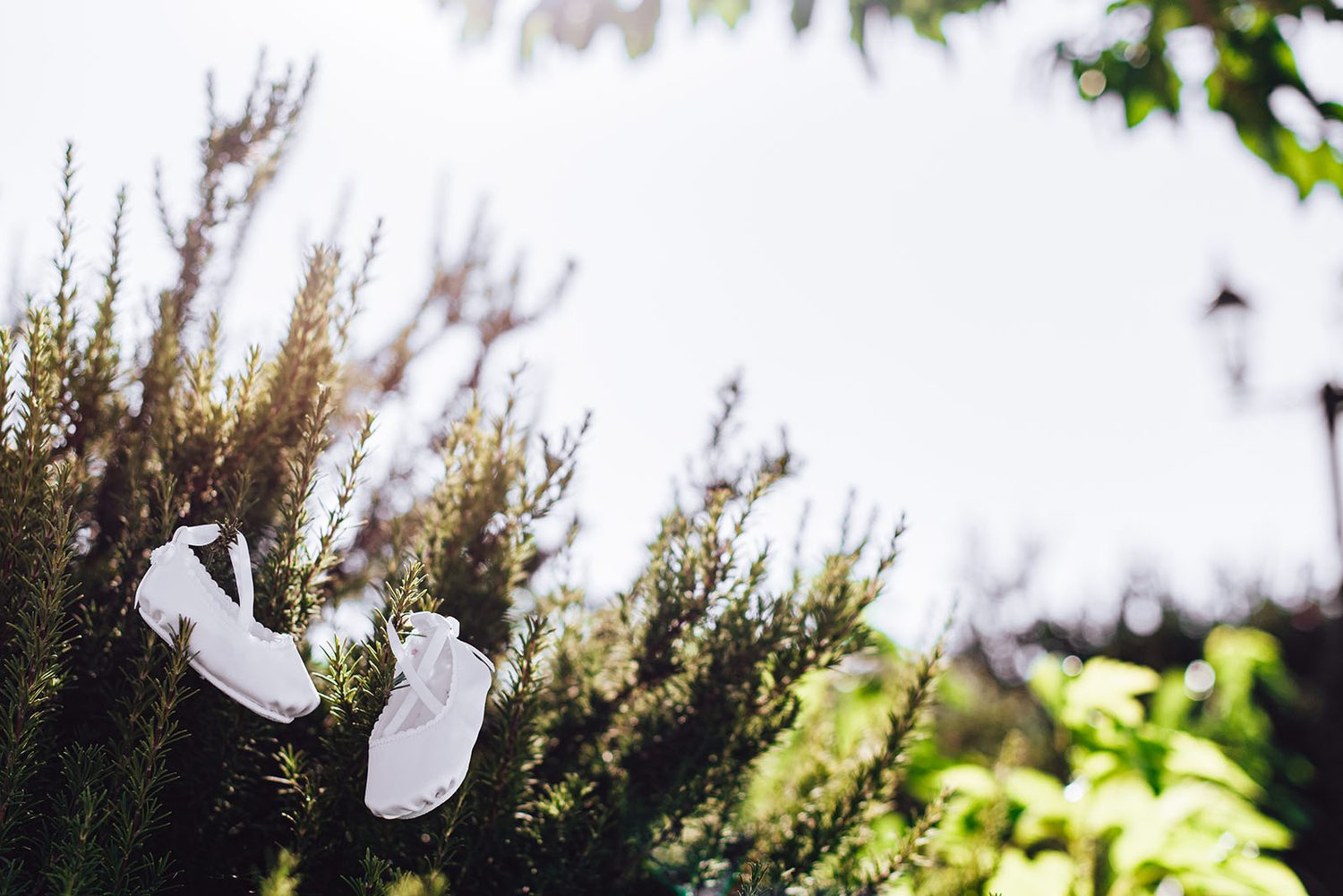 White baby christening shoes hanging among rosemary, Protara